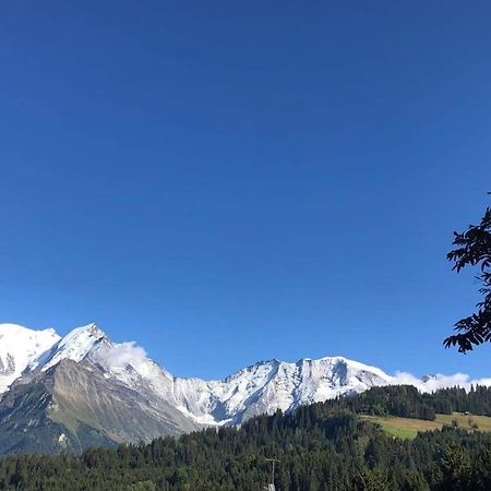 Apartament La Comtesse Saint-Gervais-les-Bains Zewnętrze zdjęcie